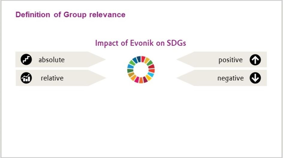 What do we mean by relevant for Evonik?