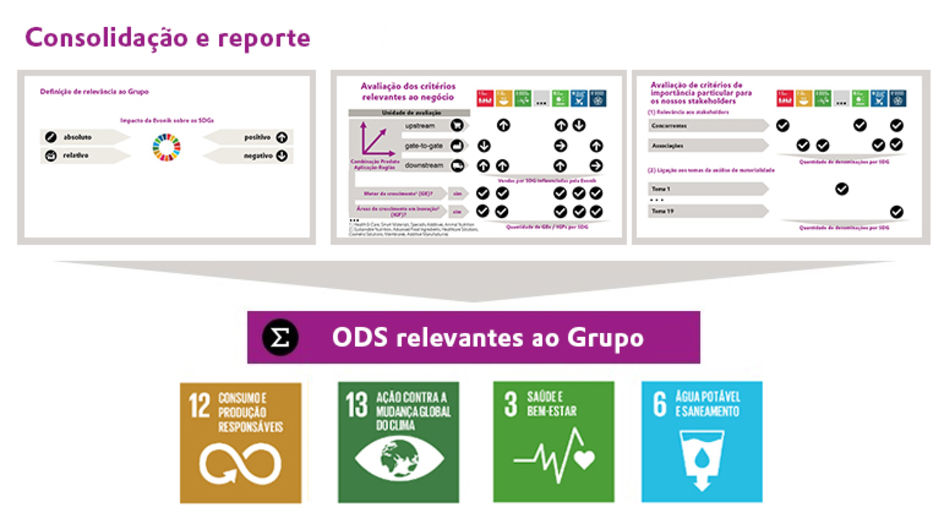 Consolidação e reporte